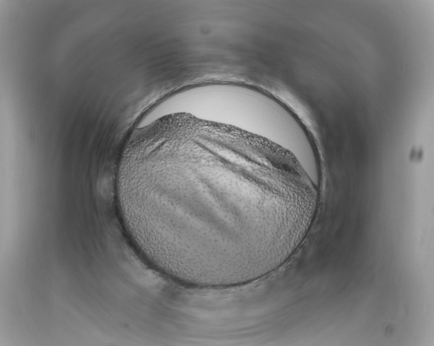 X0000091560009200709141545