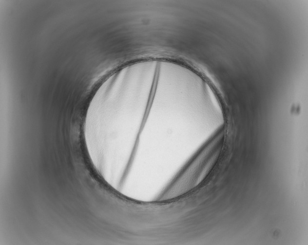 X0000091560010200709141545