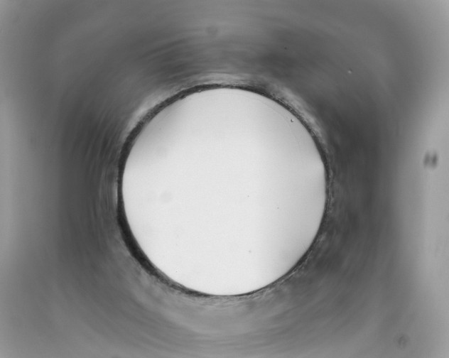 X0000091560011200709141545