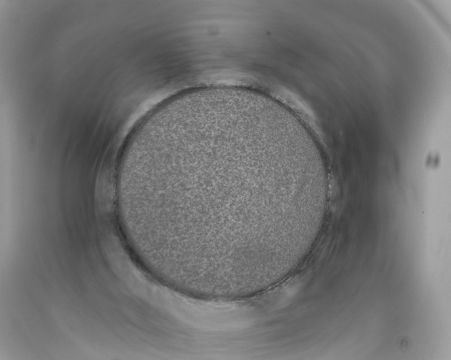 X0000091560012200709141545