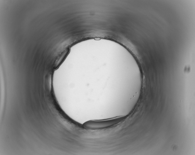 X0000091560013200709141545