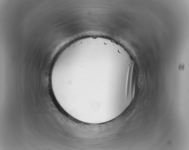 X0000091560015200709141545