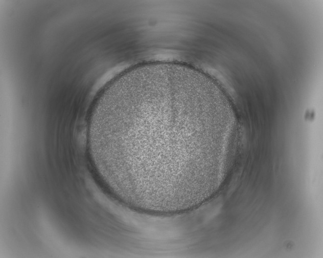 X0000091560016200709141545