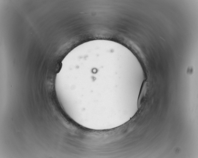 X0000091560017200709141545