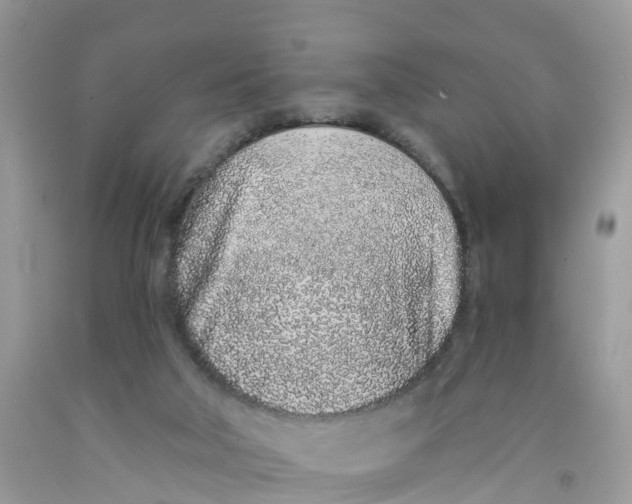 X0000091560018200709141545