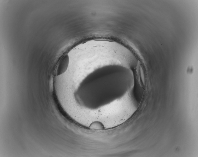 X0000091560019200709141545