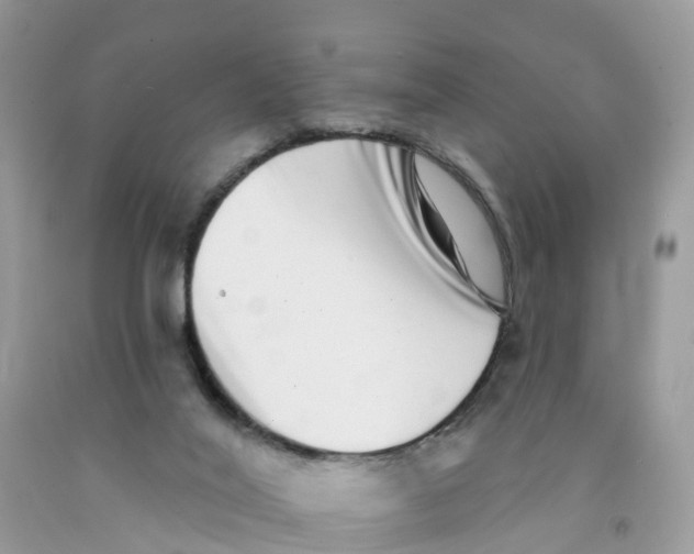 X0000091560020200709141545