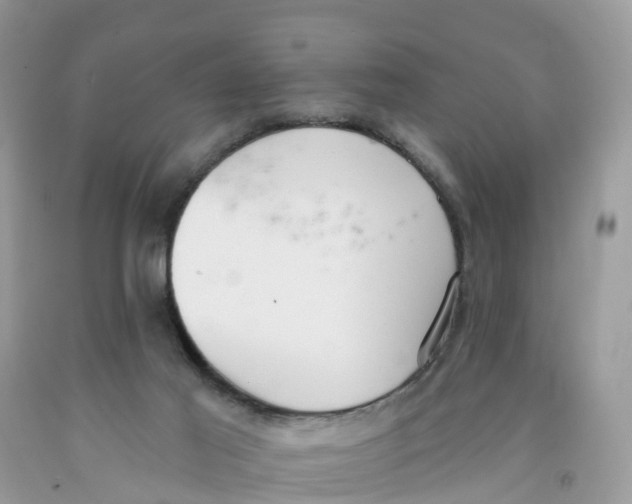 X0000091560021200709141545