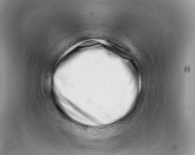 X0000091560022200709141545