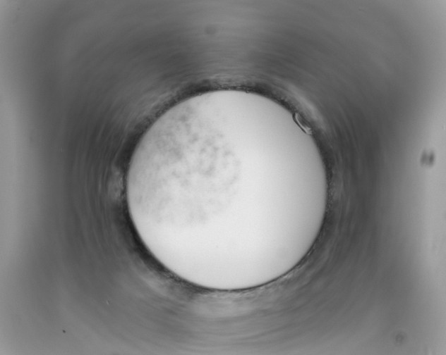 X0000091560025200709141545