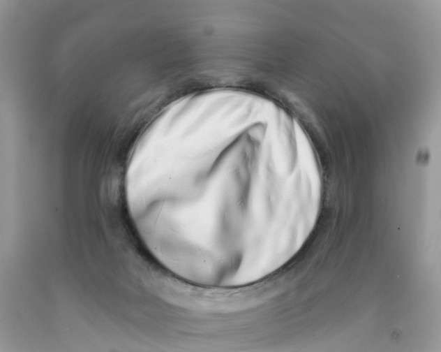 X0000091560026200709141545