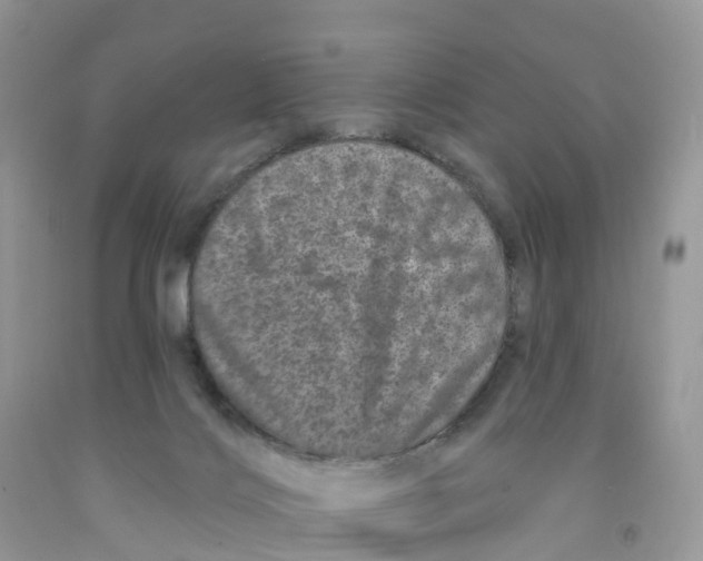 X0000091560028200709141545