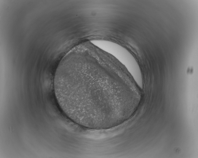 X0000091560029200709141545