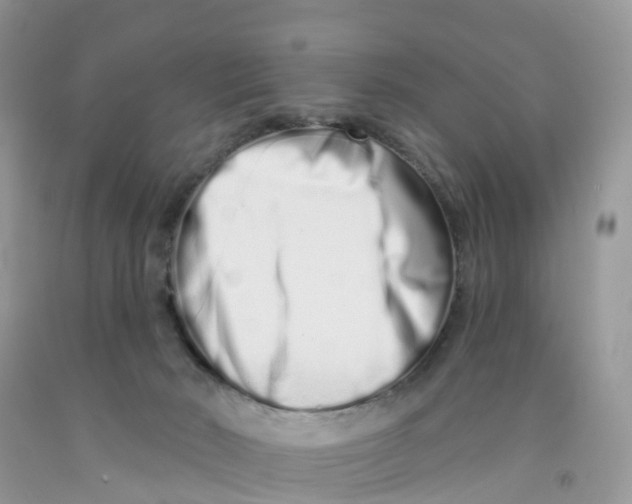 X0000091560030200709141545