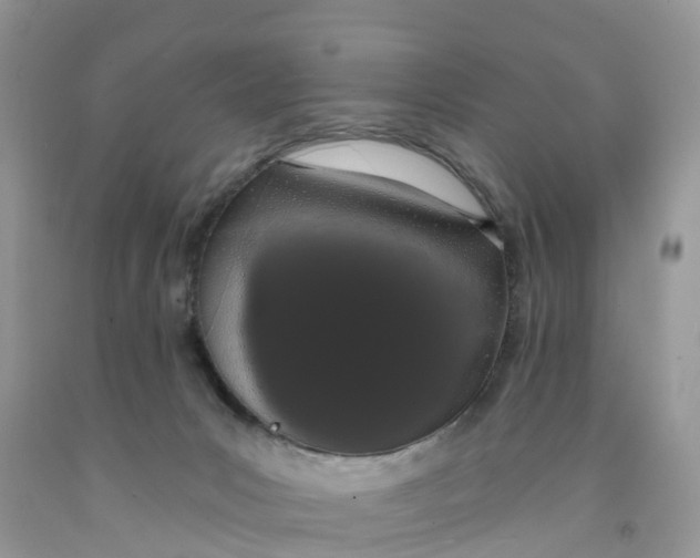 X0000091560031200709141545