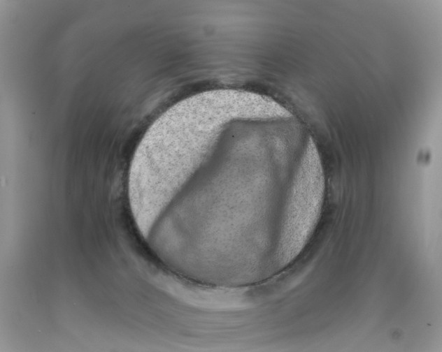 X0000091560032200709141545