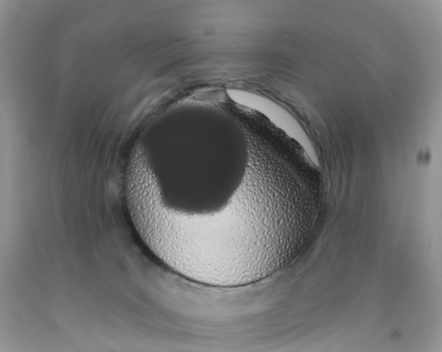 X0000091560035200709141545