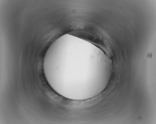 X0000091560037200709141545