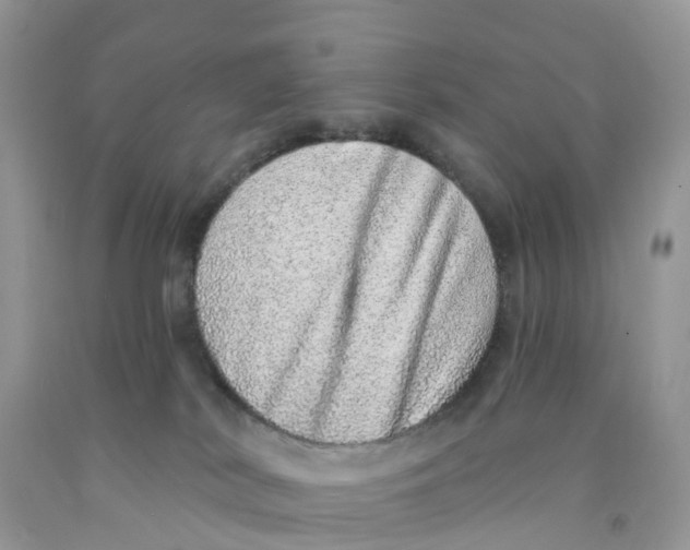 X0000091560038200709141545