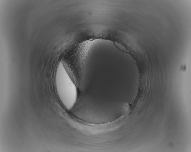 X0000091560039200709141545