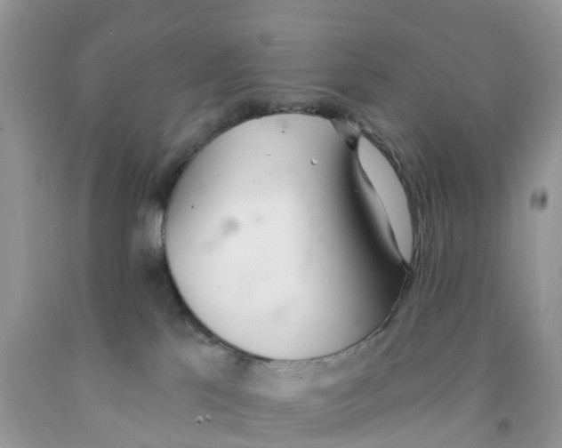 X0000091560041200709141545