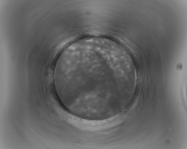 X0000091560043200709141545