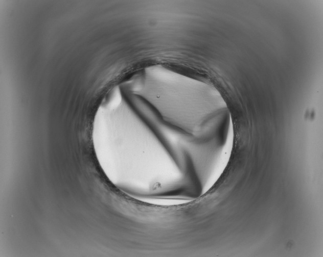 X0000091560044200709141545