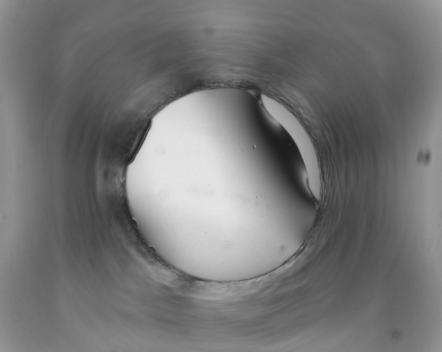 X0000091560045200709141545