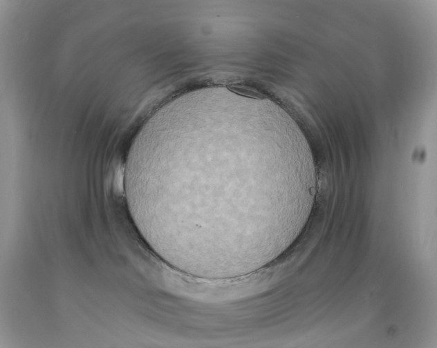 X0000091560046200709141545