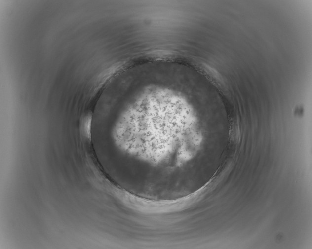 X0000091560047200709141545