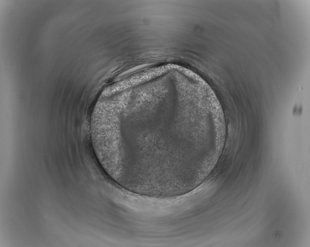 X0000091560048200709141545