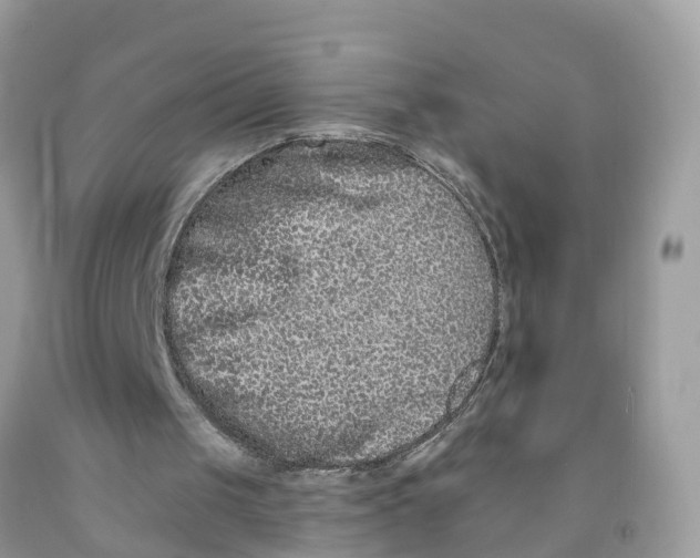 X0000091560049200709141544