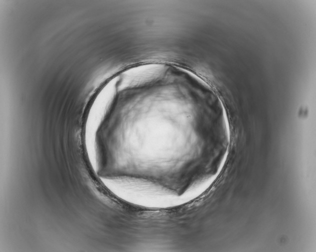 X0000091560050200709141544