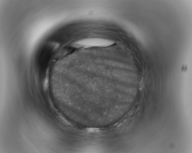 X0000091560052200709141544