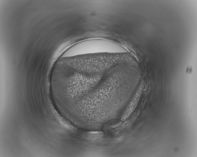 X0000091560053200709141544