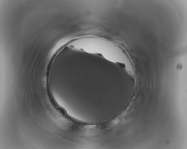 X0000091560054200709141544