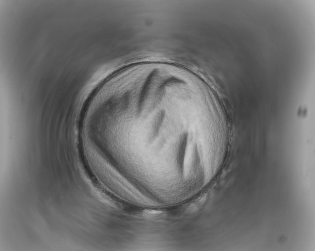 X0000091560055200709141544