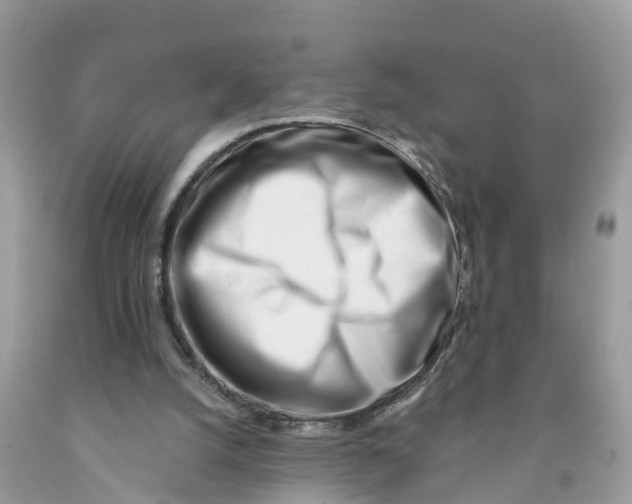 X0000091560056200709141544