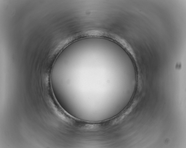 X0000091560057200709141544