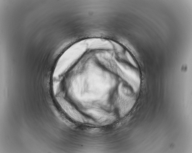 X0000091560058200709141544