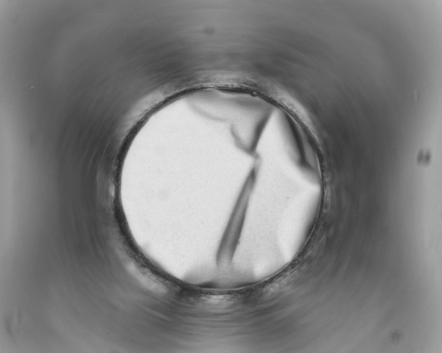 X0000091560059200709141544