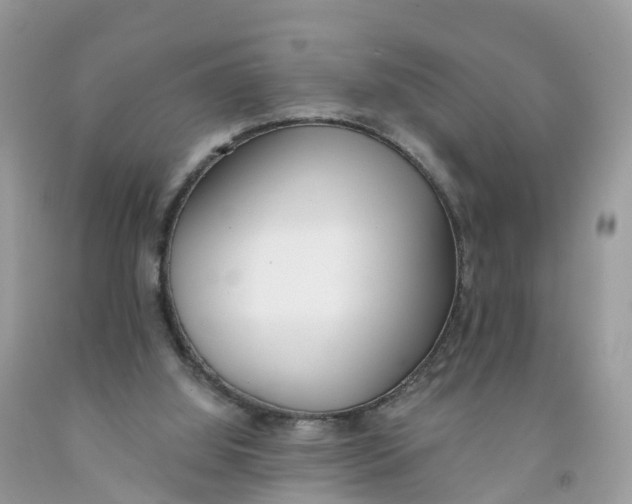 X0000091560060200709141544