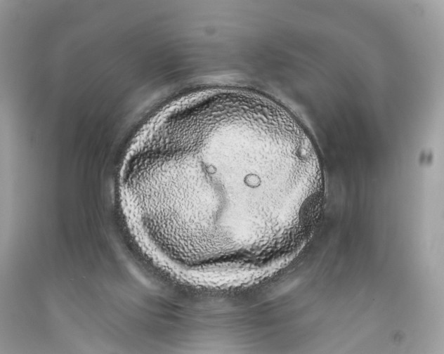 X0000091560061200709141544