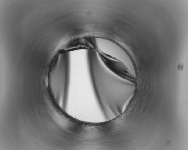 X0000091560062200709141544