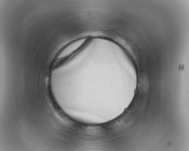 X0000091560063200709141544