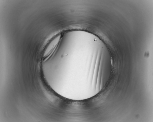 X0000091560064200709141544