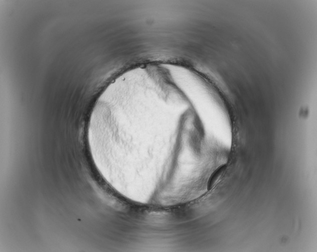 X0000091560066200709141544