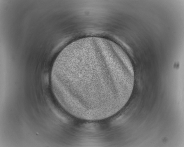 X0000091560067200709141544