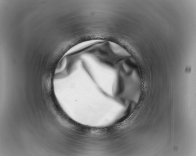 X0000091560070200709141544