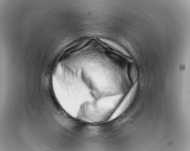 X0000091560071200709141544